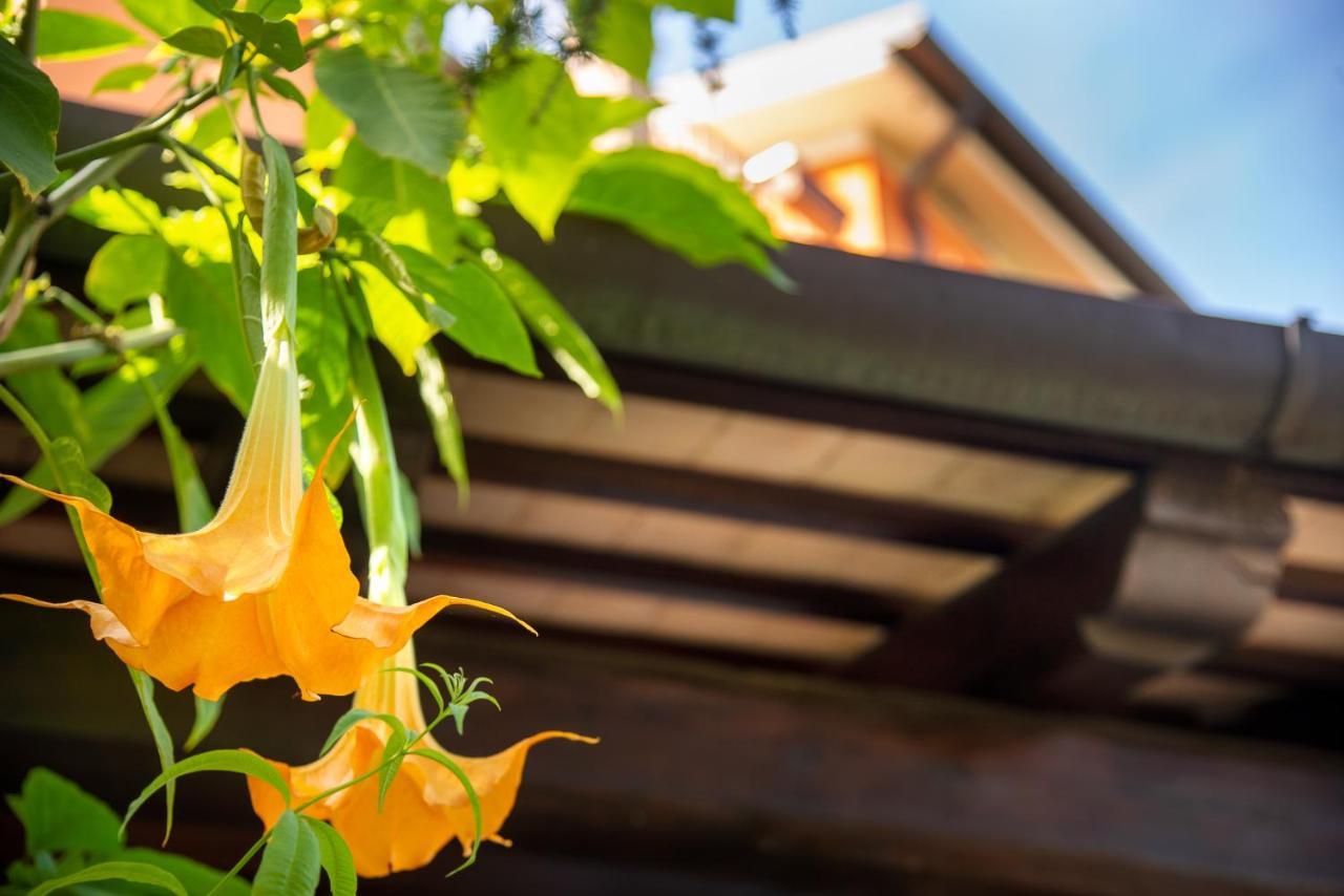 B&B La Gradina Osimo Exterior photo